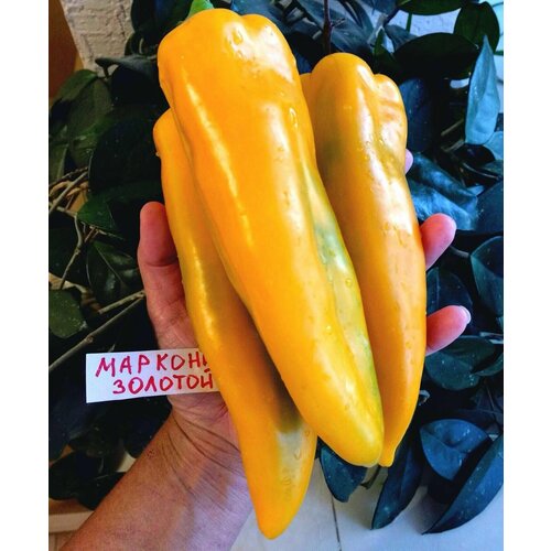 ������ ������ ������������� ������ ����� �������� ������� ������� ����