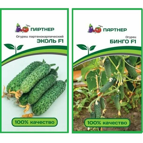 ������ ������ ����� ������ ����� F1 + ����� F1 ������ ������� (2 ��������* 5 �� �����) ����