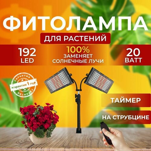                 20  192 LED   -     , -,   