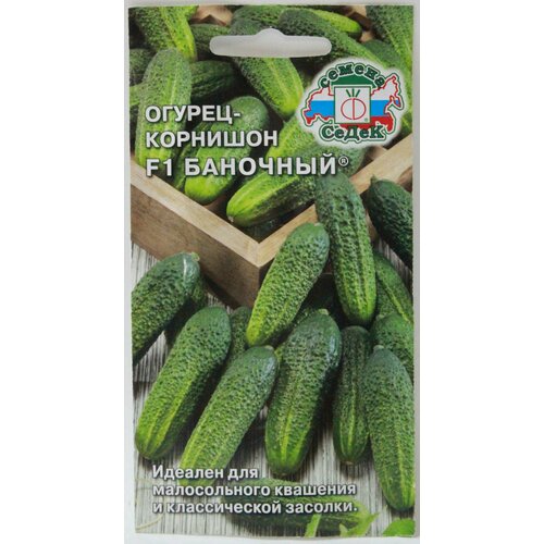 ������ ������ ������, ������-�������� �������� F1 ����