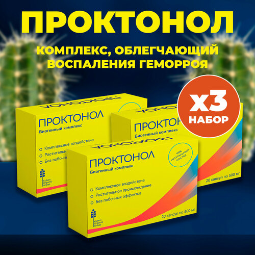 ������ ������ �������� �� �������� ��������� 3�� ����