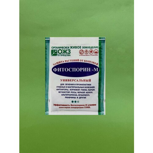 ������ ������ ���������� � ������ ������ � �������� ��������, 10 � ����