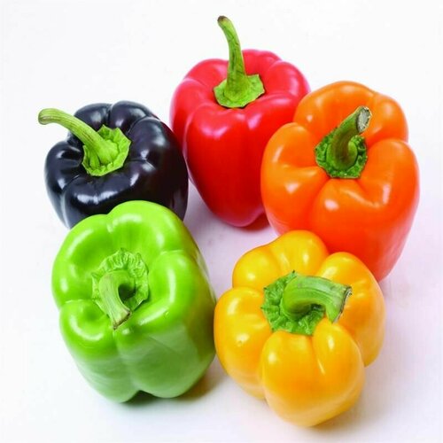 ������ ������ ����� ������� ������������ ������ ����� ��� ������ �������, ��������� � ���������� � ��������, 20 ����� ����