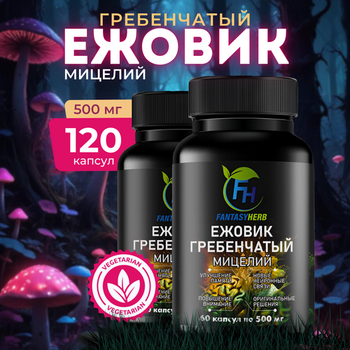 ������ ������ ������� ������� ������������ 120 ������ �� 500 �� ����