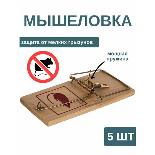 ������ ������ 5 ��������� - ������ ������������ ������� ��� �����, ��������� ����