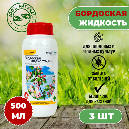 ������ ������ August ��������� �������� 500��, 3�� ����