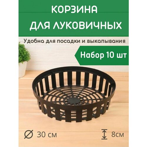 ������ ������ ����������� ���������� ������� ��� ���������� ������� ����� 10 �� ����