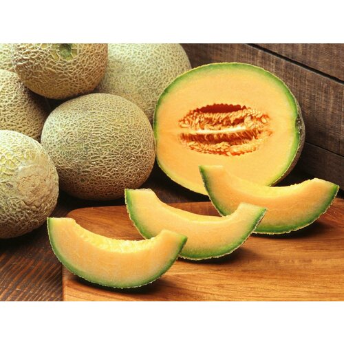      (. Cucumis melo var. cantalupensis)  20 