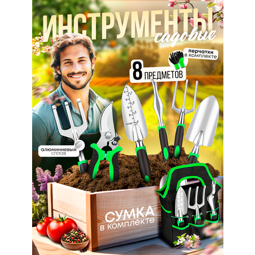 ������ ������ ����� ������� ������������ 8 ��������� ������� ���������, �������� ����