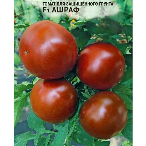 ������ ������ ������ ����� ����� F1 20 ��. ����