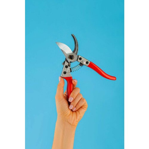 ������ ������ ������� �����������, 20 ��, ������������ ����� ����