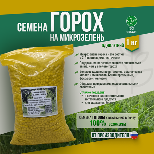 ������ ������ ����� �� ����������� 1�� ������������ ����