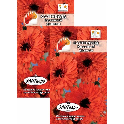 ������ ������ ��������� ������� ������ (0,3 �), 2 ������ ����