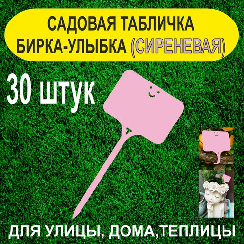 ������ ������ ������� ����� - ������. �������� ��� ��������. 30 ���� (���������) ����