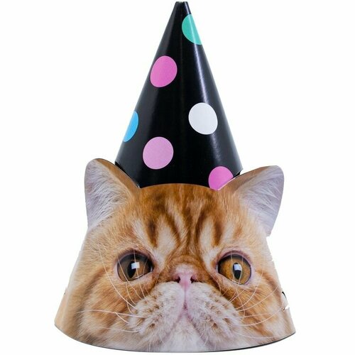 ������ ������ ������ ������ ������������� 6 �� ����