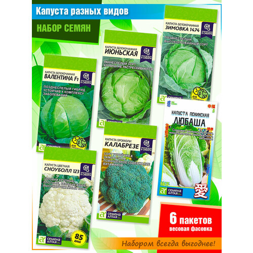 ������ ������ ����� ����� ������� ������ ����� �� ������ ����� (6 �����) ����