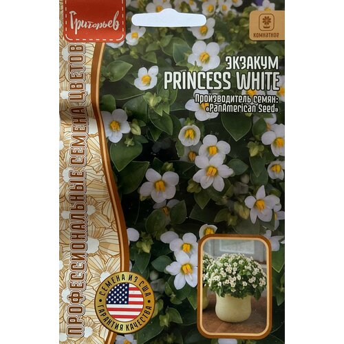 ������ ������ ������ �������� (���������� ������) 