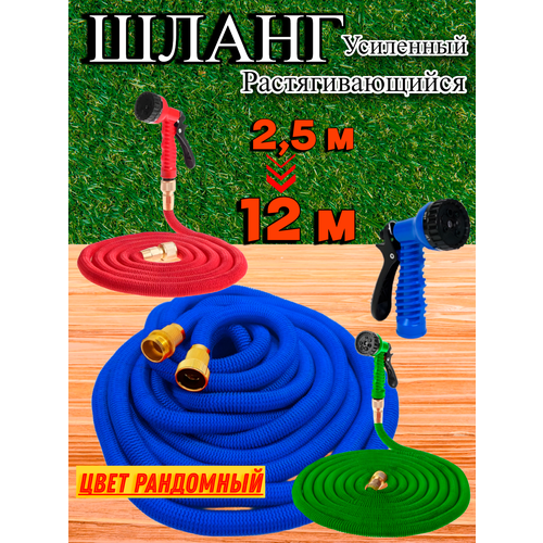 ������ ������ ��������������� ������� ���������� ����� 12 ������ ����