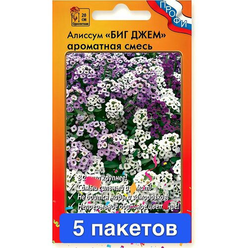 ������ ������ ������ ������ ������� ������ 