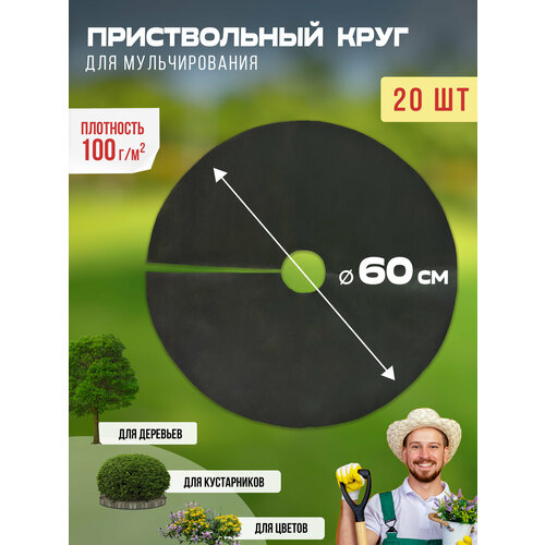 ������ ������ ������������ ���� ��� ������������� 100 ��/�2, ������� 60 ��, 20 �� ����