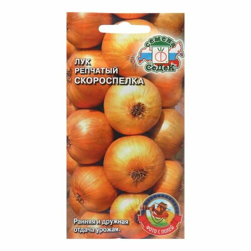 ������ ������ ������ ��� �������� 