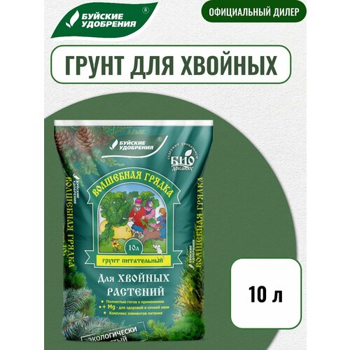 ������ ������ ����� ���������� ������ ��� ������� �������, ������� ���������, 10� ����