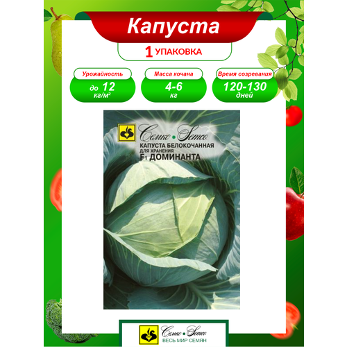 ������ ������ ������ ������� ������������ ��������� ������������ 0,2 ��. ����