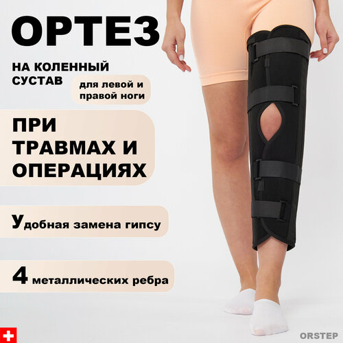 ������ ������ ����� �� �������� ������ / ����� �� ������. L ����