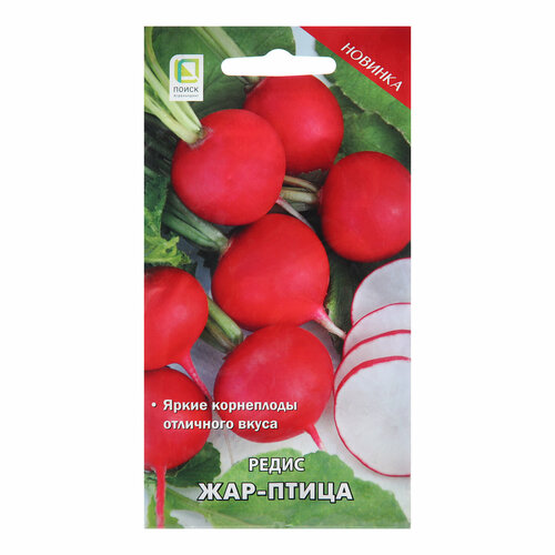 ������ ������ ������ ����� 