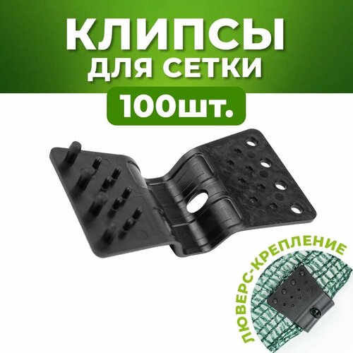 ������ ������ ������ ��� ����� ����������, ������ ��� ���������� ����� 100 �� ����