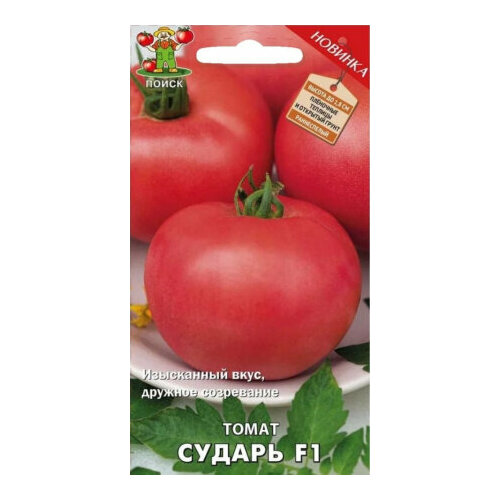 ������ ������ ������ ����� ������ F1 12�� ����� ������ (�����) ����