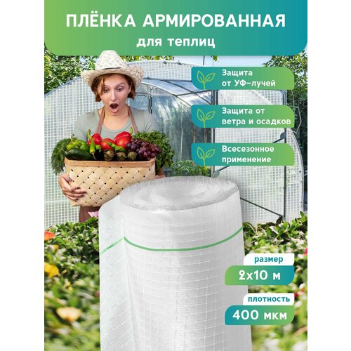 ������ ������ ������������ ������ ��� ������ 2�10 �. 400 ����. ����