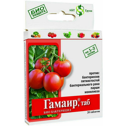 ������ ������ ������, ��� (20 ��������) ��� ������ ����