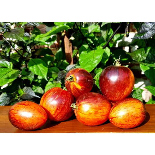 ������ ������ ������ ������ ��������� (Gargamel) / Seeds And Goods / � �������� zip-lock ��� ���������� 10 ����� ����