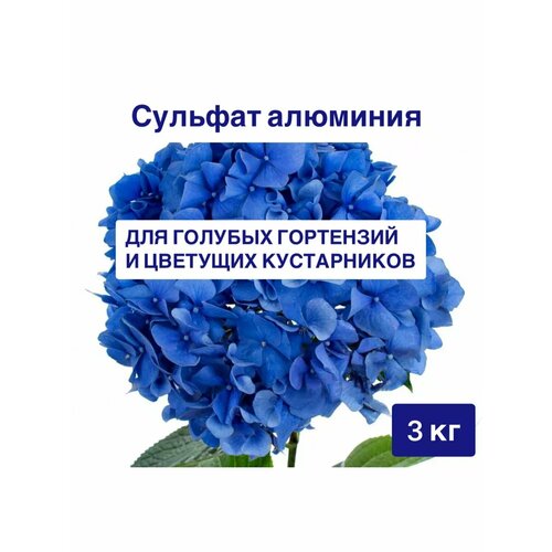 ������ ������ ������� �������� ��� ��������� 3 �� ���� ����