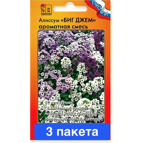 ������ ������ ������ ������ ������� ������ 