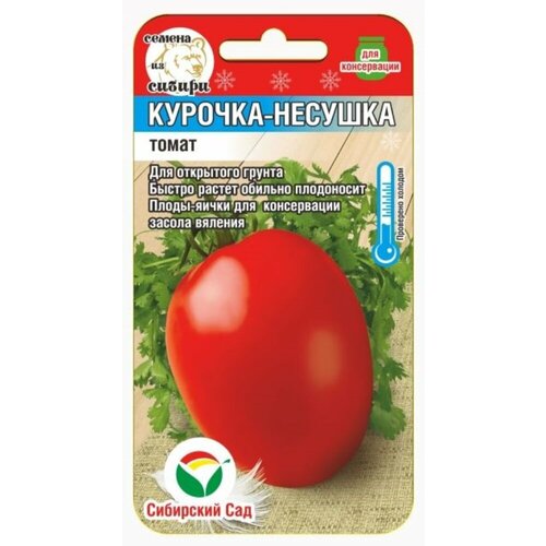 ������ ������ ������ ����� �������-������� 20�� ��� ������ (��������� ���) ����