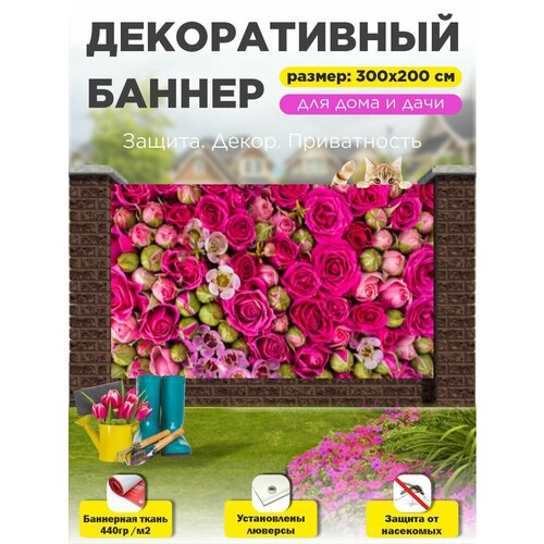 ������ ������ ��������� ������ �� ����� 300 �� � 200 �� � ��������� ����