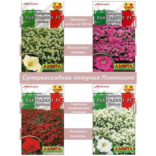 ������ ������ ������ ������ ������� �������� �������������� �������������� ��������� ����