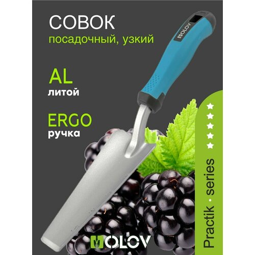 ������ ������ ����� ������� `OLOV �������` �������������, ����������, ����� ����