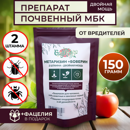 ������ ������ ��������� ������� ����������� �� ���������� 150� ����