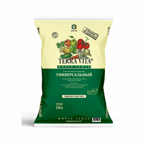 ������ ������ ����� ����� ����� ������������� 10 � ���� * ����