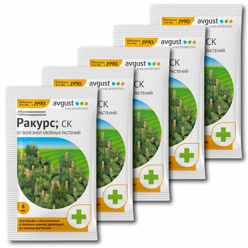 ������ ������ �������� �� �������� ������� �������� Avgust ������ 4��, 5�� ����