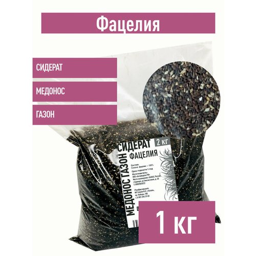 ������ ������ ������� ������, 1 �� ������� ������� ����� ����