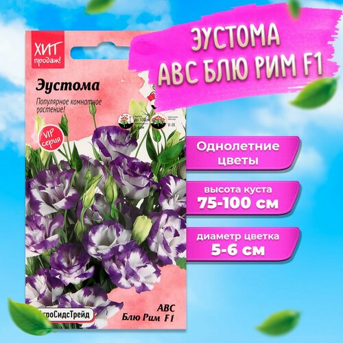 ������ ������ ������ ������� ��� ��� ��� F1 5 �� ������������ ����