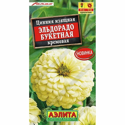 ������ ������ ������ ������ ��������� �������� ��������, ����������, (������) 12�� ����