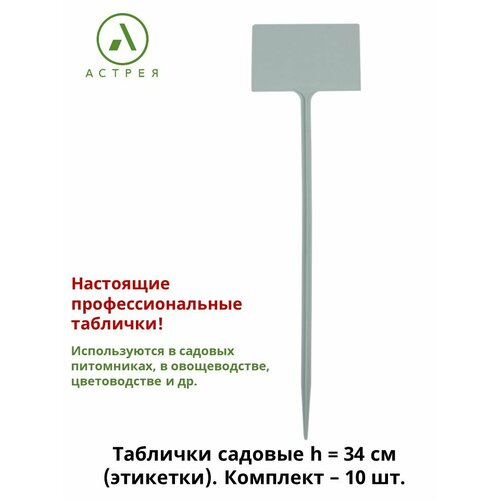 ������ ������ ���������� �������� ��� ��������, 10 ���� � ���������, ���� ����� ����