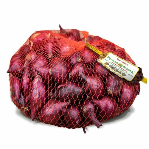 ������ ������ ���-����� ������ �� 14/22 (����� 0,5��) ������ ����