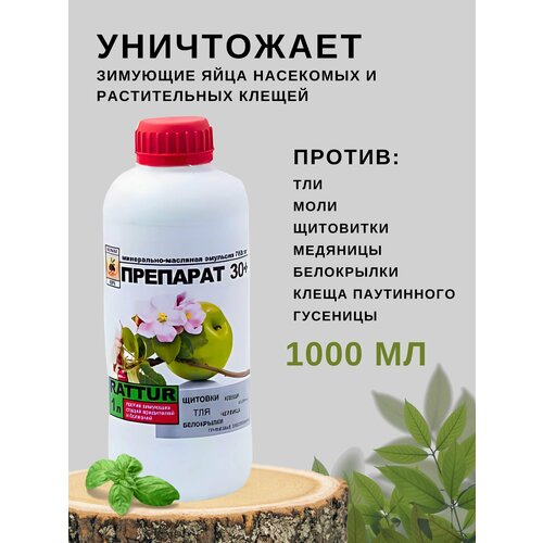 ������ ������ �������� ������ �������� �������� 30 ���� ����