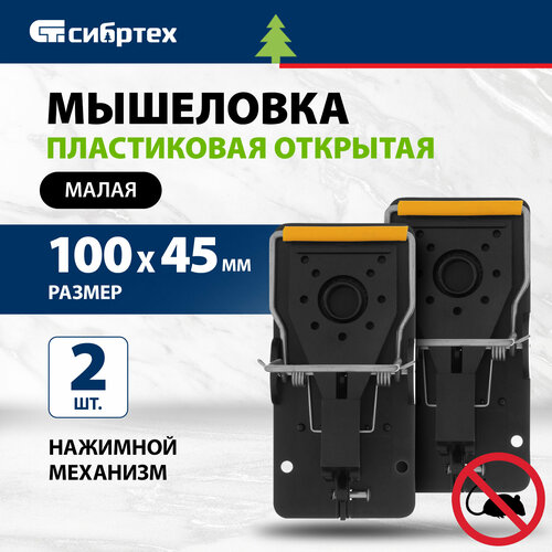 ������ ������ ��������� ����������� �������� ������� ������������� ��������, �����, 100�45 ��, 2 �� 94125 ����